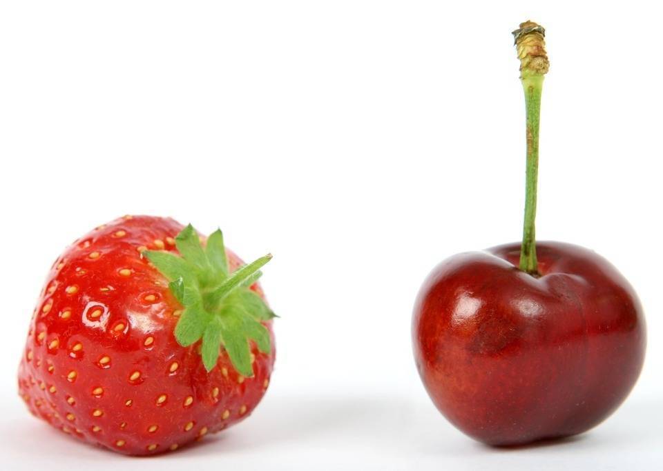 berry-1239112_960_720|daypecaja